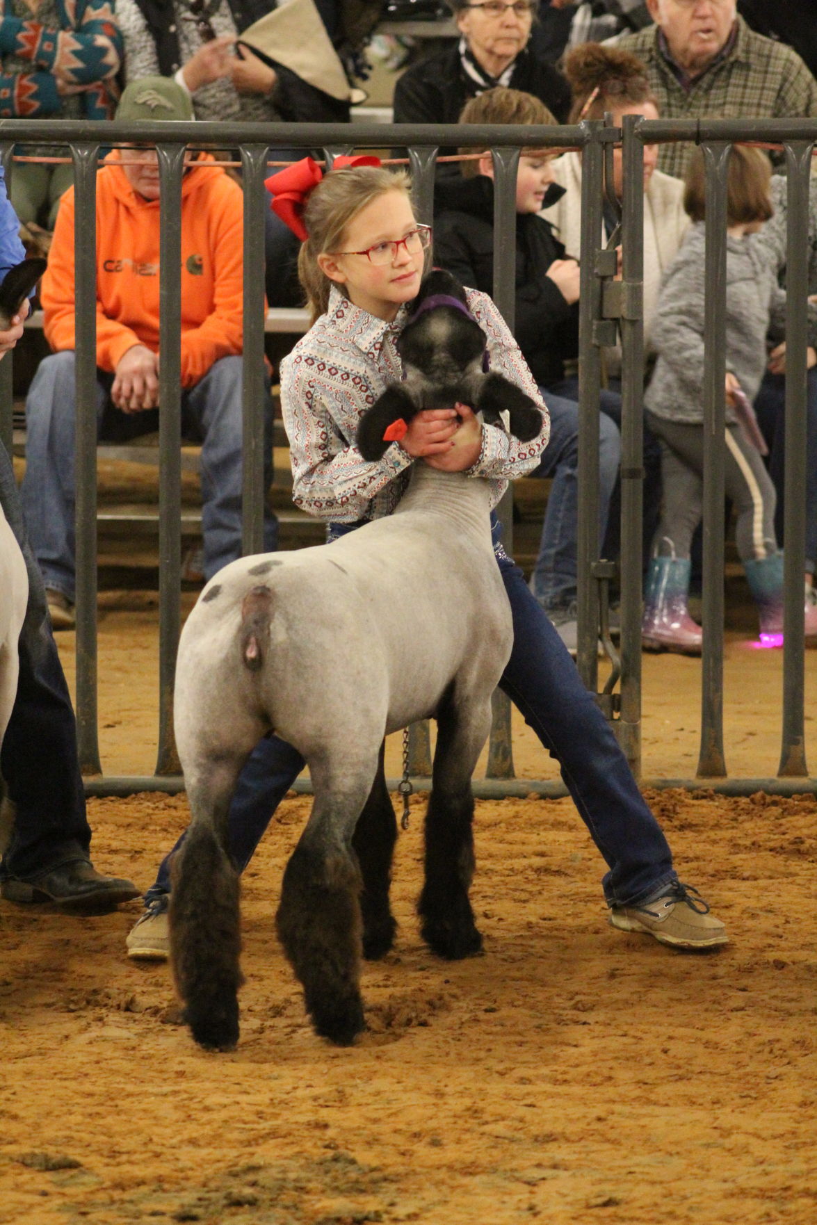 Presley Doty livestock show